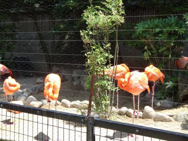 施設写真21