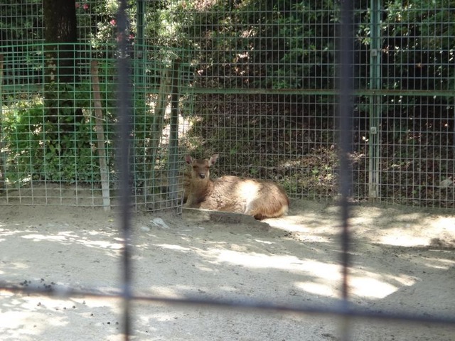 施設写真14