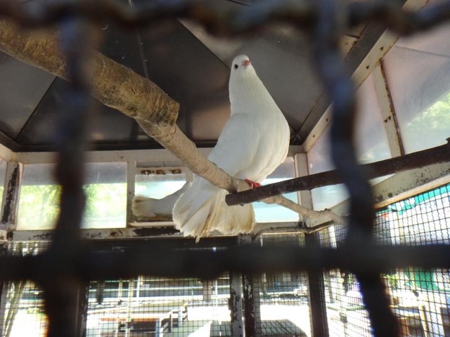 施設写真10