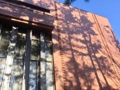 松本歯科大学