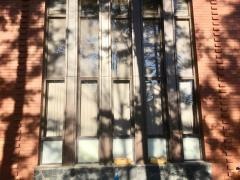 松本歯科大学