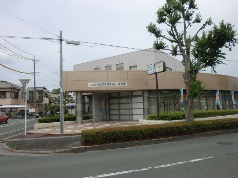 南から