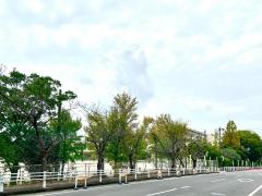 原山小学校
