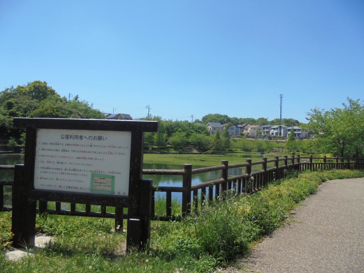 にごり池公園の写真です