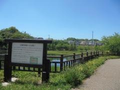 にごり池公園