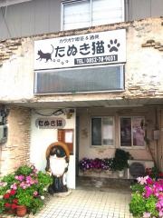 たぬき猫