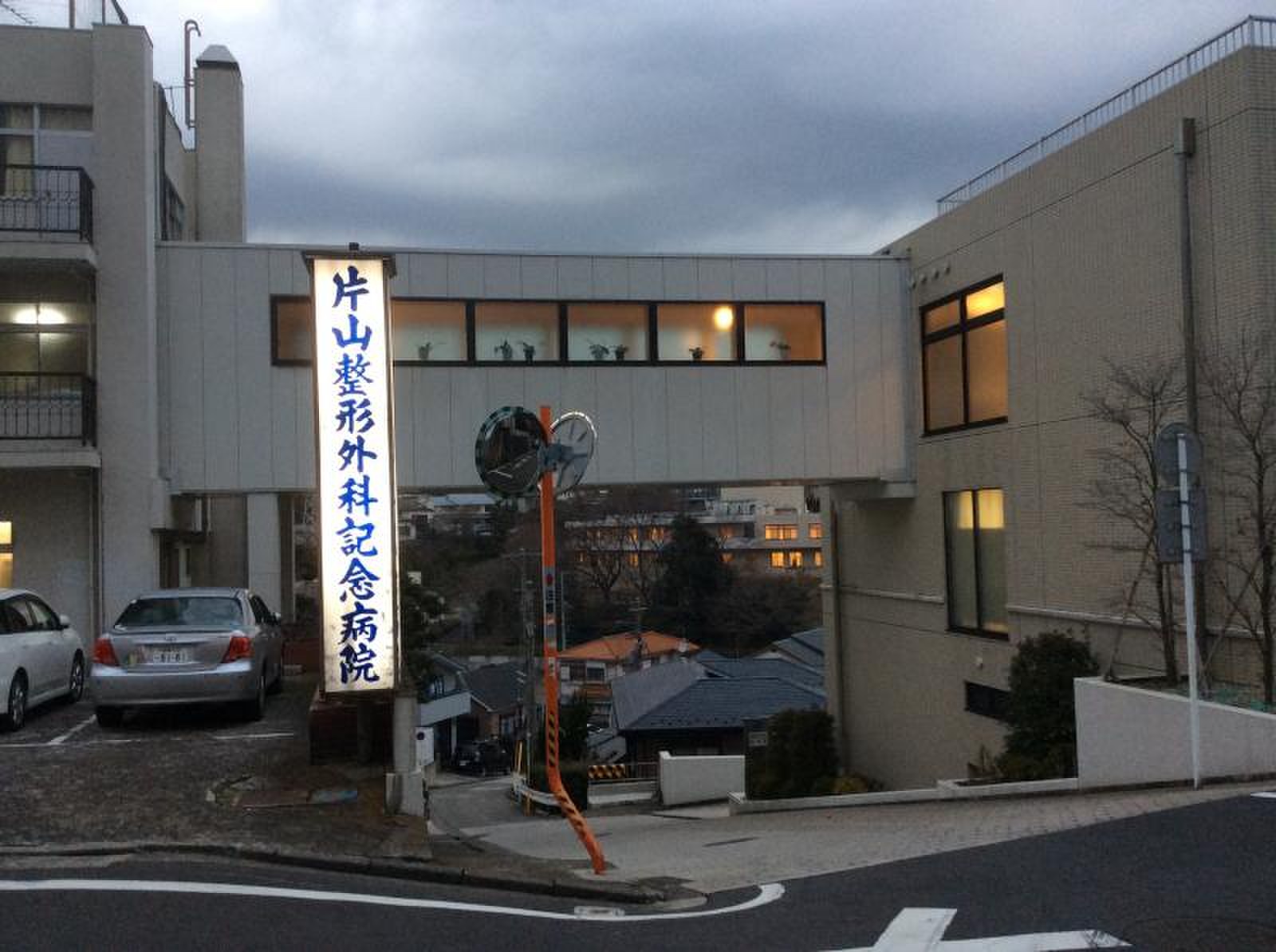 片山 整形 外科 記念 病院