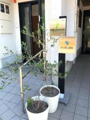 志岐クリニック