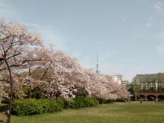 東京都立墨東病院