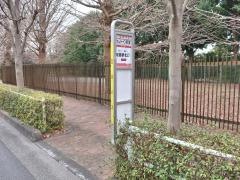 「フォレスト・イン昭和館」バス停留所