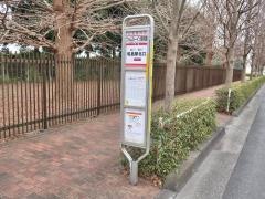「フォレスト・イン昭和館」バス停留所