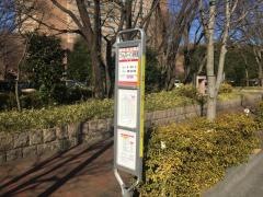 「フォレスト・イン昭和館」バス停留所