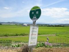 「木根」バス停留所