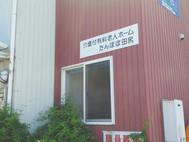 たんぽぽ田尻