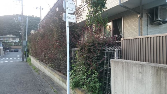 本牧つばき園 施設外観