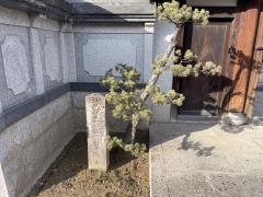 法久寺
