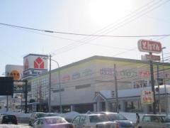 ヤマダ電機　テックランド札幌南川沿店