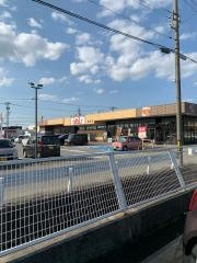 アルビス経堂店