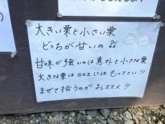 山本農園