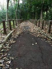 芥川緑地公園