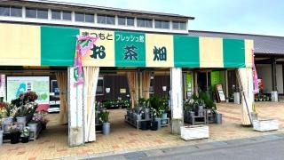 はるやま　農園食堂お茶の花
