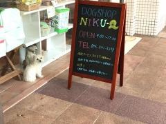 ＤｏｇＳｈｏｐＮＩＫＵーＱ