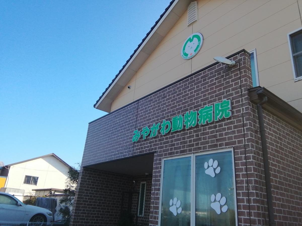 いつも多いです。内のペットもお世話になってます。