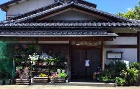 だんち