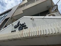 鮮魚・お食事処　山正
