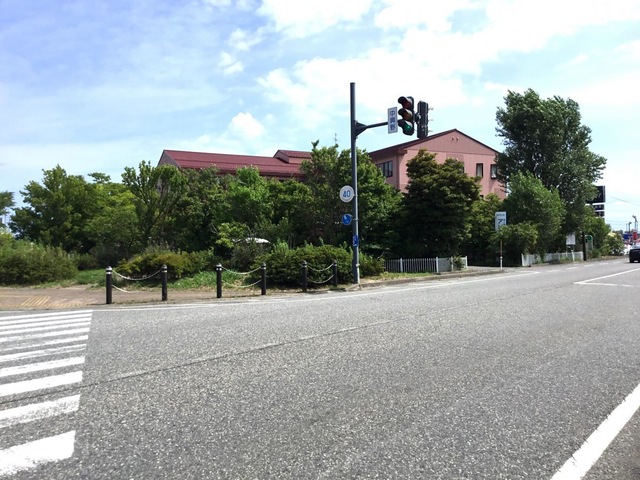 アビラ大形