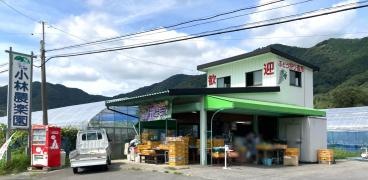 小林農楽園