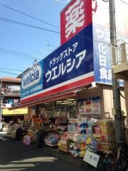 ウエルシア　氷川台駅前店