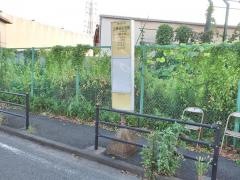 「上瀬谷住宅前(東側)」バス停留所