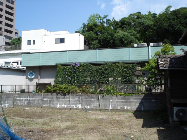 かもめ
