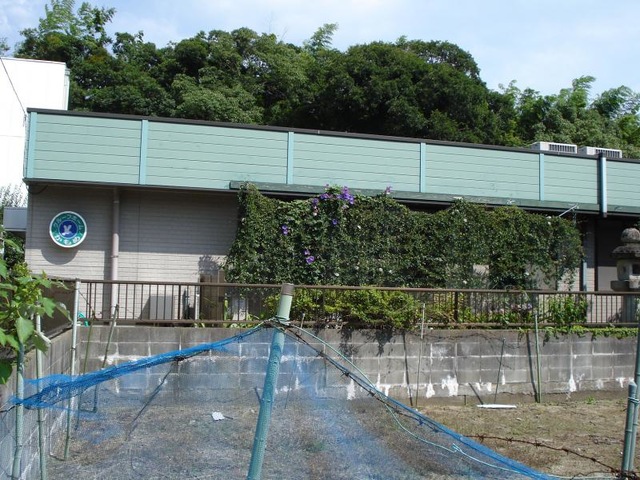 かもめ