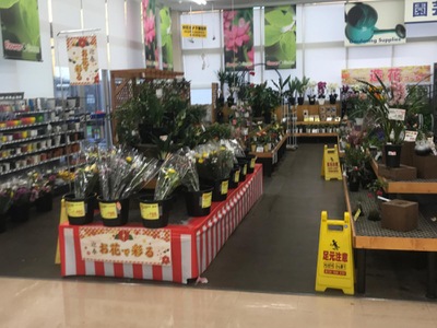 マーケットピア ケーヨーデイツー 南越谷店