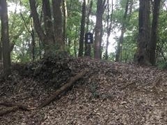 大給城跡