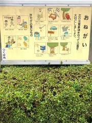 松見公園