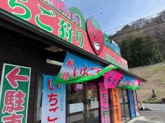 須田いちご園