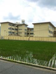 福岡市立金武中学校