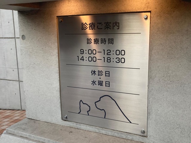 投稿写真1