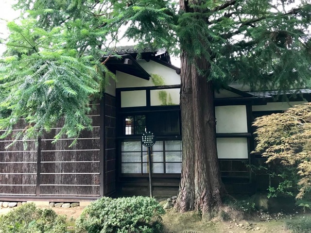 投稿写真6