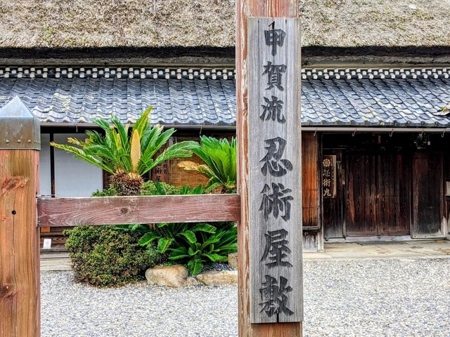 投稿写真7