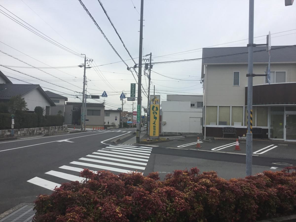 動物病院