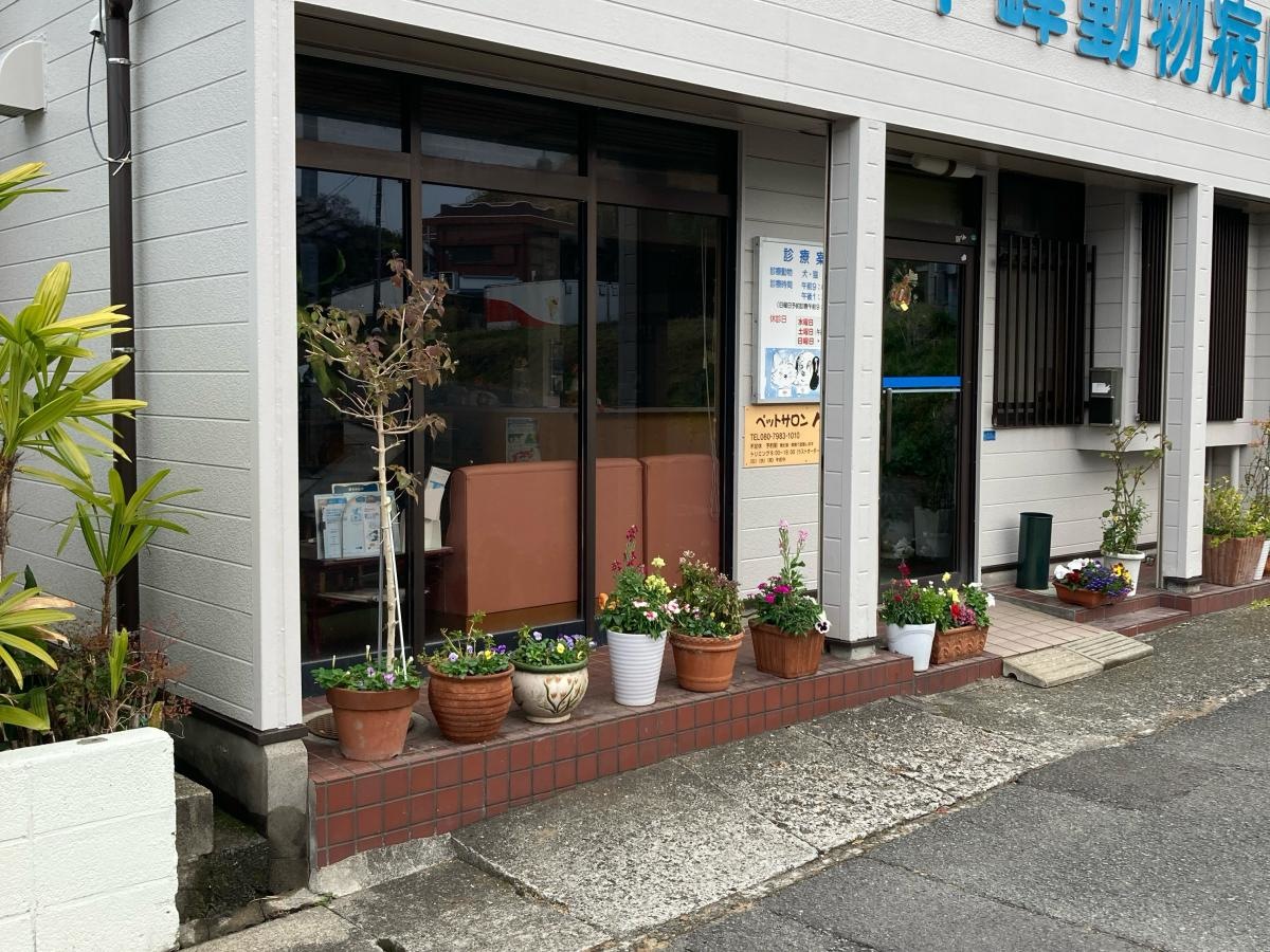 平峰動物病院の施設外観です。