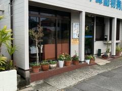 平峰動物病院