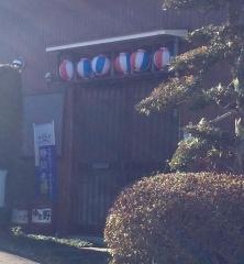 ゆき野