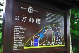 マンズワイン日本庭園「万酔園」