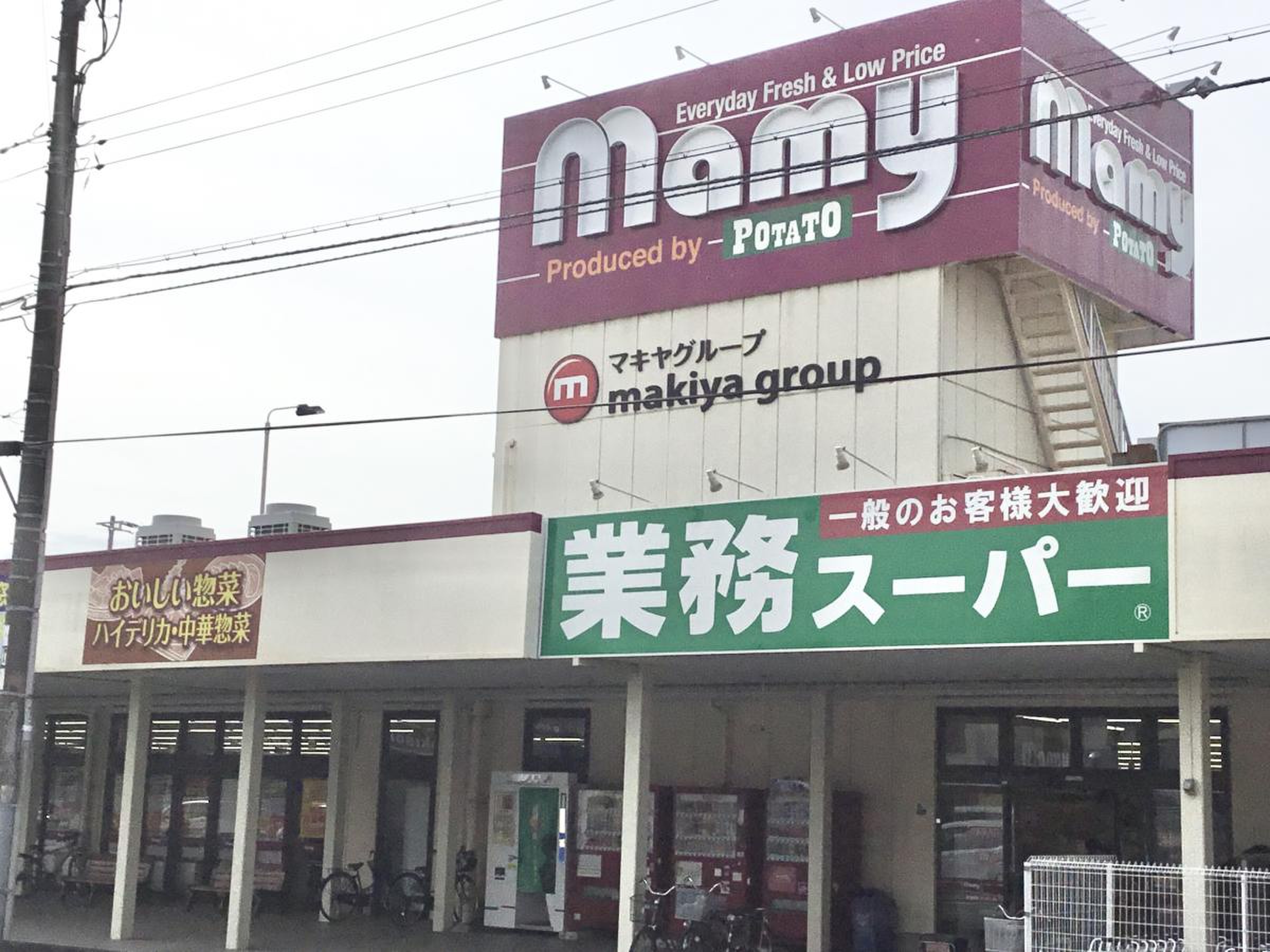 活動歴および当時の関連ビジュアル記録