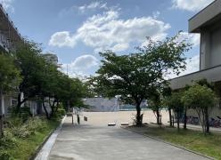 小松小学校